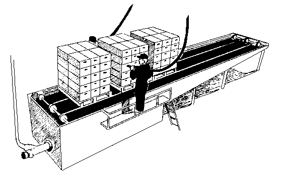 Figure 2. Injecting liquid ice into palletized broccoli cartons 