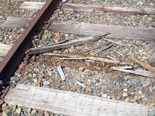 Figure 3. Damaged railroad ties.