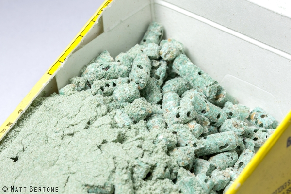 Bluish green rodent poison pellets (made from grain) with bore holes from lesser grain borers.