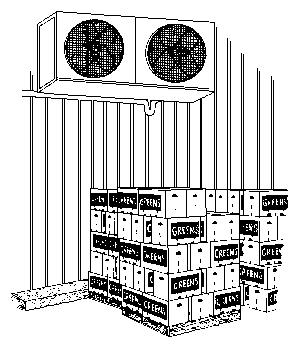 Drawing of evaporator coils inside a cooling room.