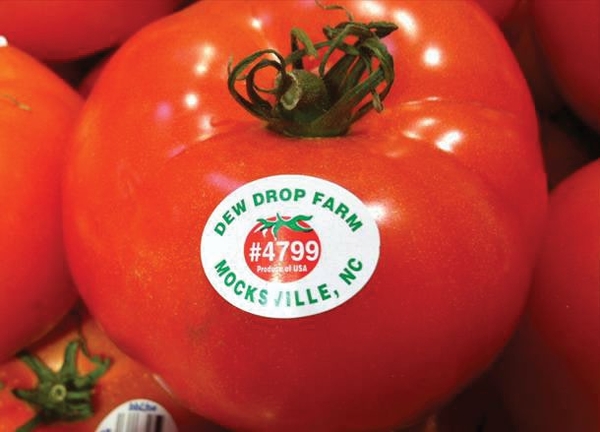 Red tomato with sticker with farm info and PLU number