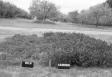 black and white photo