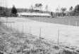 black and white photo