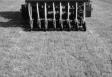 black and white photo