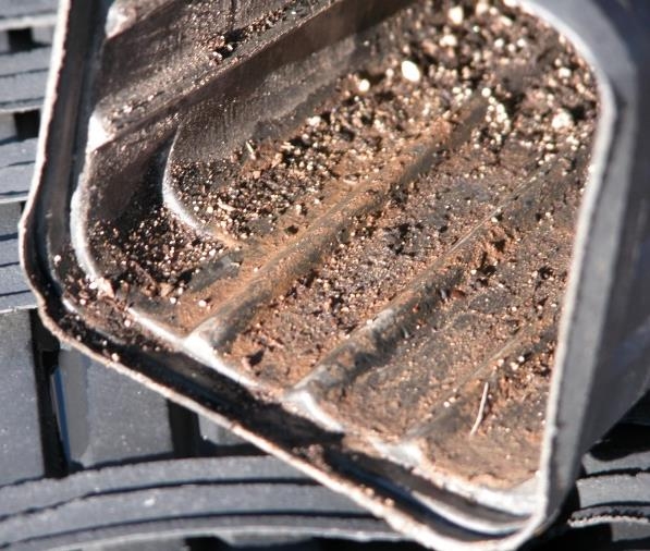 Close-up view of contaminated pot with soil inside.