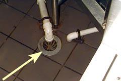Figure 6. Floor drains in commercial buildings offer areas for d