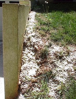 Insecticide dust spread along soil against retaining wall