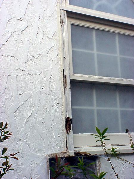 Figure 9. Decayed window trim.