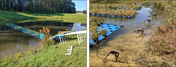 At left, a linear mat is being planted by a person as it is being placed in the pond. At right, FTWs are anchored to bank.