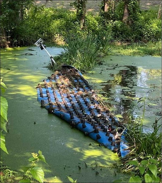 Mat in a lake that has been flipped over. Bases of plant plugs visible.