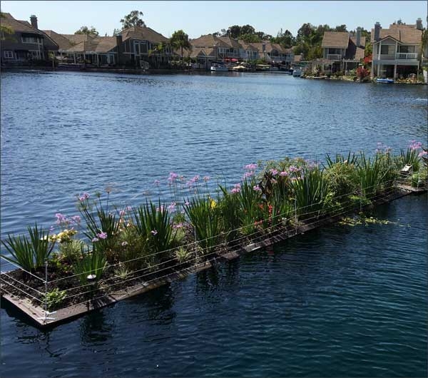 Rectangular FTW in middle of pond with flowering plants. Surrounded by a border of protective fencing.