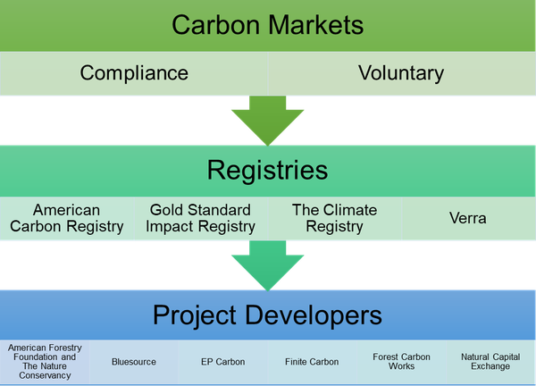 graphic of common agents involved in forest carbon markets