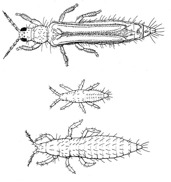Composite of Figure 28A, at top, Figure 28C, at middle, and Figure 28D, at bottom.