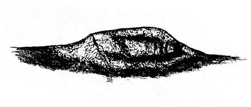 Pupa shown as whitish lump enmeshed in a black-shaded covering, the cocoon. Black and white art.