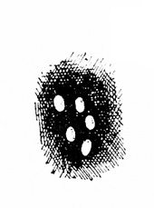 Five oval white eggs against a black, crosshatched, oval background.