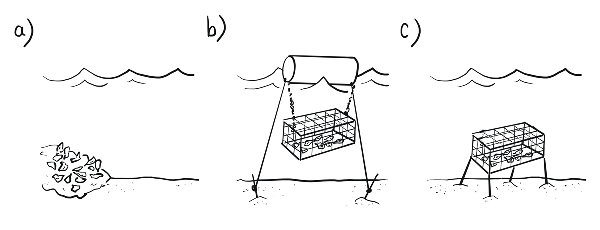 Shellfish growing (a) on the bottom (b) suspended (c) in a rack