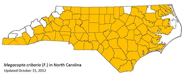 Map of North Carolina with counties colored in yellow that have kudzu bugs. Just a few on the eastern, northern and western edges of the state do not.