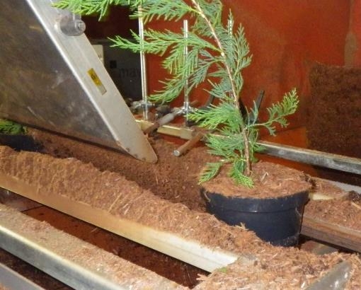 Mulch applicator