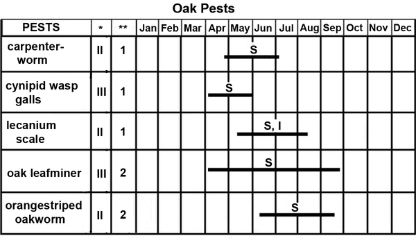 Thumbnail image for Oak Pest Management Calendar
