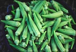 Decorative image of harvested okra