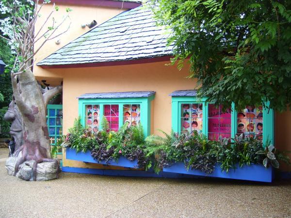 windows with bright teal paint and lush garden boxes