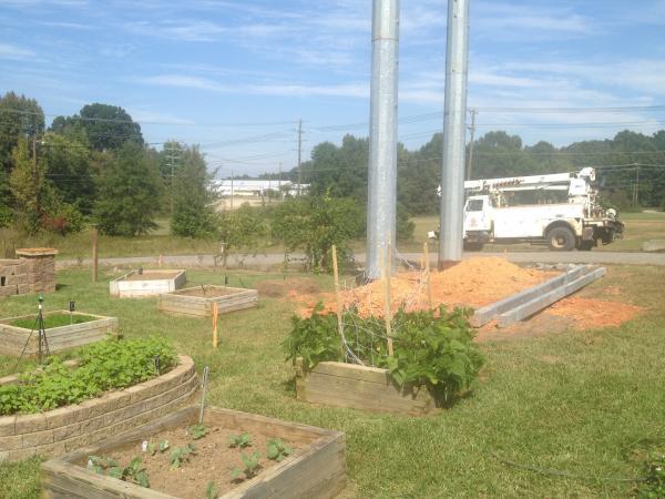 garden beds near utility poles