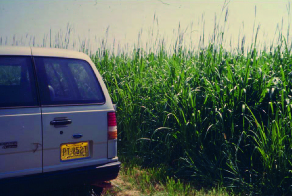 Decorative cover image of a van parked near tall grass