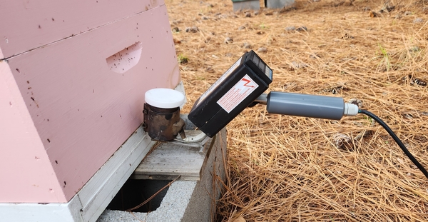 The wand of the vaporizer is placed inside the hive onto the bottom board