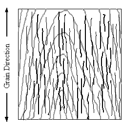 Thumbnail image for Understanding and Minimizing Veneer Checking on Furniture Panels