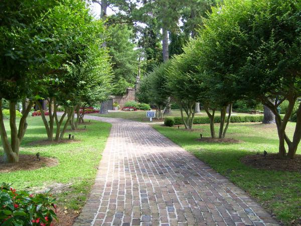 wide brick path with uniformly spaced trees on either side