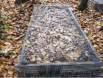 Woodland Propagation structure example with leaf mulch for frost protection