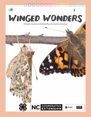 Curriculum cover with photographs of butterflies